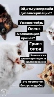 Вы уже подготовились к осени?